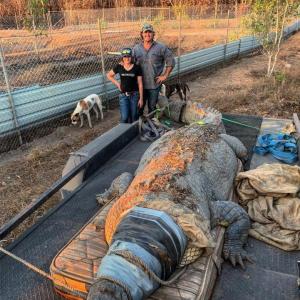1680289068_animals-pibig-info-p-samii-bolshoi-krokodil-v-mire-zhivotnie-in-37.thumb.jpg.975631da2a8fb1713990b92405cceec6.jpg
