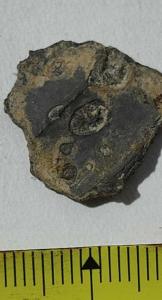 2026-4-15 6-36-41.jpg