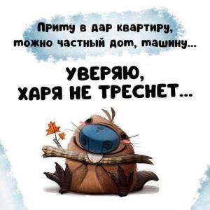 2178af716d7151466b3c3e14dec7f740.thumb.jpg.215390268d08e19254c659ae0178306f.jpg
