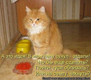 2bca6f86fcfcf1929ce89dda3366ad75.jpg