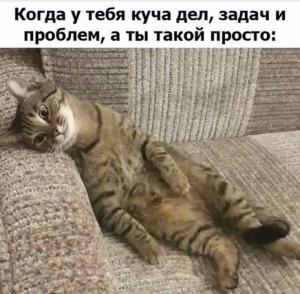 57d5dd3f89d17bdc66877500b5bfad20.thumb.jpg.61a72b28f7ab6bee75bfa8dd77951419.jpg