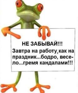 81f7ce4b538d766c10c463ae7022c987.jpg