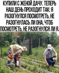 967b823ece3d1c9c4136401d8c933949.thumb.jpg.af64de59fbc79200ecace8b669be6727.jpg