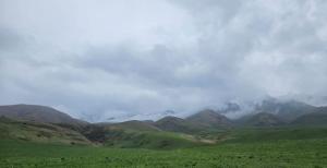 IMG-20260419-WA0005.thumb.jpg.88b08c00291683f8217829cf11c523fa.jpg