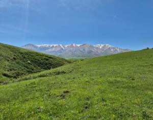IMG-20260427-WA0028.thumb.jpg.aa0381c5f96dfd57fc4d9b382aa41f54.jpg