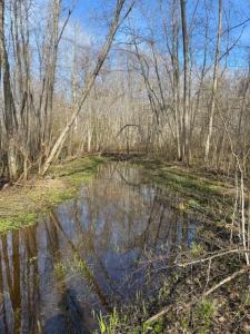 IMG_0379.jpeg