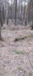 IMG_20260403_193238.thumb.jpg.aaa38eab93618c8beeaeed6a1869e4d0.jpg