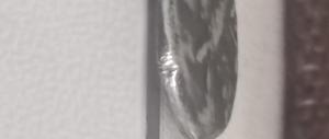 IMG_20260412_151856.jpg