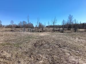 IMG_20260416_133644.jpg