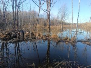 IMG_20260416_174106.jpg