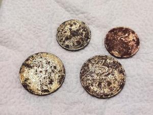 IMG_20260419_095033 (1).jpg