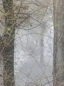 IMG_20260419_102333.thumb.jpg.e411b303f60865f02c9d79d36f4df868.jpg