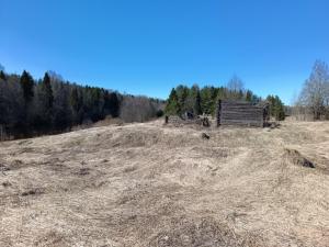 IMG_20260419_142359.jpg