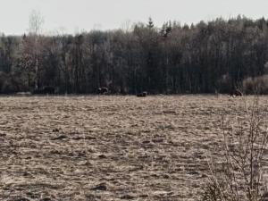 IMG_20260419_182942.jpg
