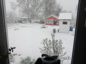 IMG_20260427_070517.jpg