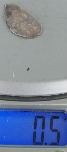 IMG_20260427_184937.jpg