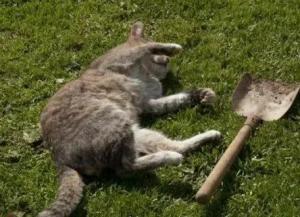 i - 2026-04-17T085058.060.jpeg