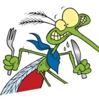 Владимир Лесник