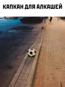 scale_1200 - 2026-04-06T084605.665.png