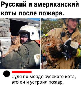 1c59aa64c2d4b149f579f23ad3610efa.thumb.jpg.a3fb5362289c93710f7ab04cf2351af6.jpg