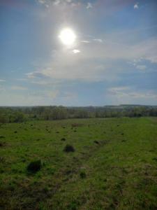 20260506_170339.jpg