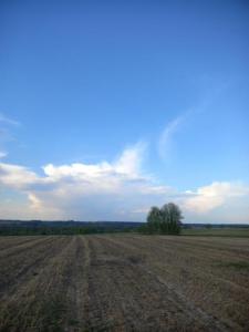 20260506_173951.jpg