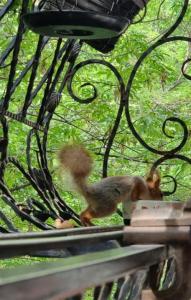 20260509_152215.thumb.jpg.dc413c6a6b8dfed21027354b230c9172.jpg
