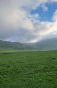 20260529_182335.thumb.jpg.16bd669af6866dbb4c72714e3293a3b7.jpg