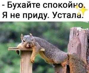 2b39d2f45f354936b9d272984c53bb1c.jpg