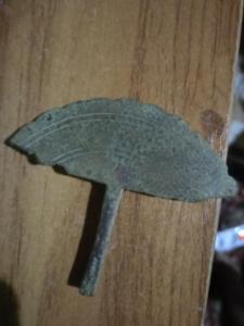 IMG20260501232214.jpg