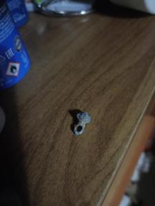 IMG20260501232235.jpg