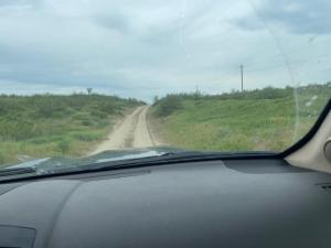 IMG_0440.jpeg