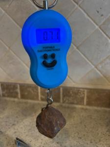 IMG_1445.thumb.jpeg.47ec8e890b7a78e3133c9febbc4743e0.jpeg