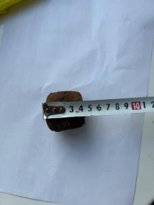 IMG_1447.thumb.jpeg.a41d7c607413c59907f4be6cf5b82af7.jpeg