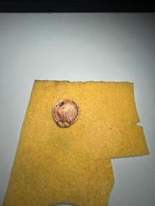 IMG_1463.thumb.jpeg.f68de3c72a498ec339b849c19b3afcc3.jpeg