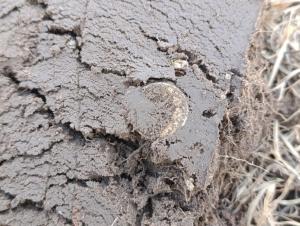 IMG_20260321_135435.jpg