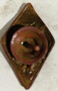IMG_20260421_144227.thumb.jpg.0be1f5ed2a43b3daf2f6155ac67df694.jpg