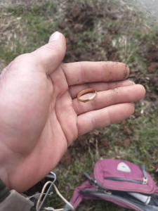 IMG_20260501_140201.thumb.png.89ac760fdae8248010259b003268d4ee.png