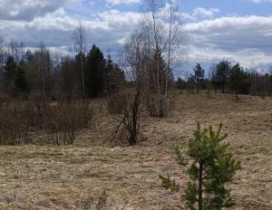 IMG_20260502_185548.jpg