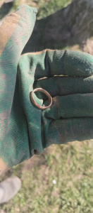 IMG_20260503_180753.thumb.png.7505b6d189858ecd890e2dc64fbd890e.png