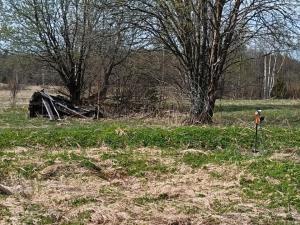 IMG_20260504_145708.jpg