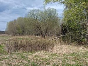 IMG_20260504_145716.jpg