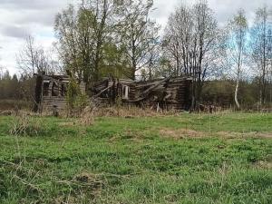 IMG_20260508_142429.jpg