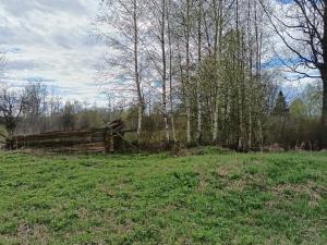 IMG_20260508_142435.jpg