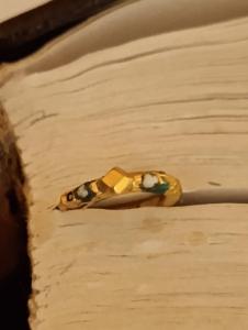 IMG_20260513_232654.thumb.jpg.c4f4bafeeb5d1ae076288c4cc59b4e0d.jpg