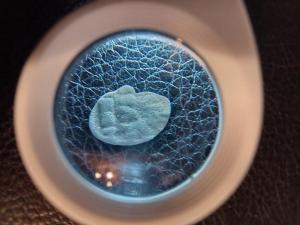 IMG_20260514_110134.jpg