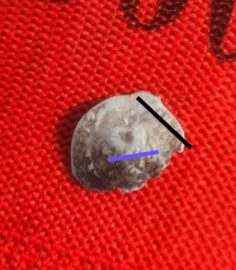 IMG_20260525_121602.thumb.png.5a0f214908867c35bc8b0e097948fa89.png