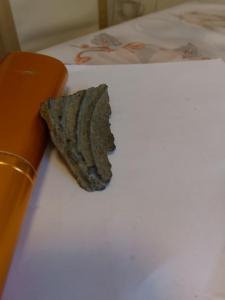 IMG_20260527_162920.jpg