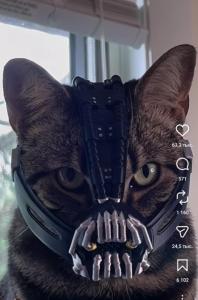 Screenshot_20260514-140948_Instagram.thumb.jpg.0f0e5ca90de13858242d6f334b4c4305.jpg
