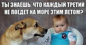 og_og_1495471055293570100.thumb.jpg.b83ff9f8e8bf915d8e99059ae82754ec.jpg